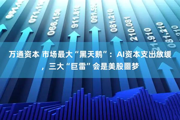 万通资本 市场最大“黑天鹅”：AI资本支出放缓，三大“巨雷”会是美股噩梦