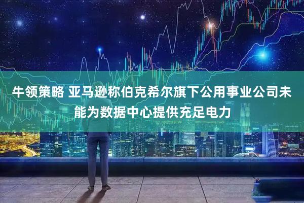 牛领策略 亚马逊称伯克希尔旗下公用事业公司未能为数据中心提供充足电力