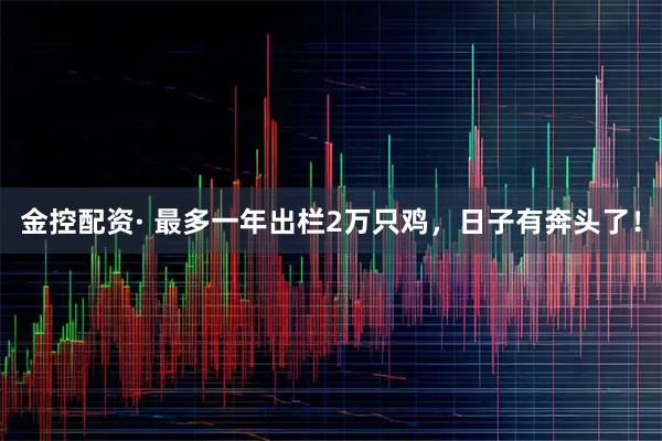 金控配资· 最多一年出栏2万只鸡，日子有奔头了！