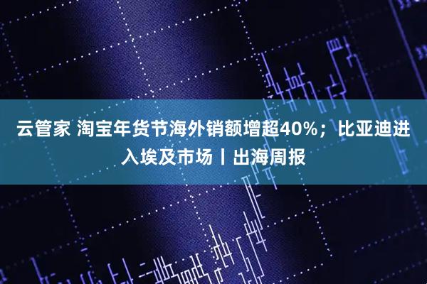 云管家 淘宝年货节海外销额增超40%；比亚迪进入埃及市场丨出海周报