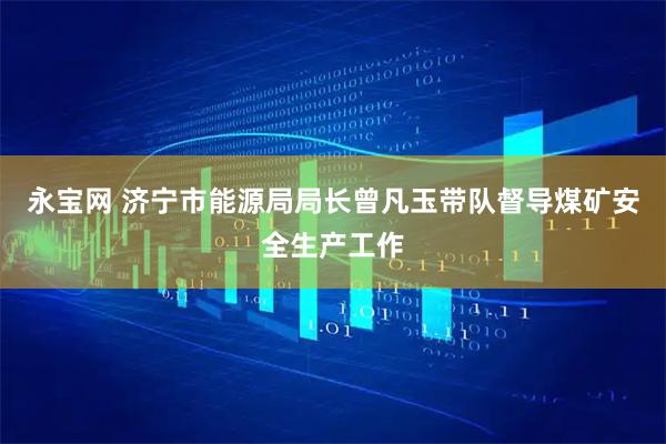 永宝网 济宁市能源局局长曾凡玉带队督导煤矿安全生产工作